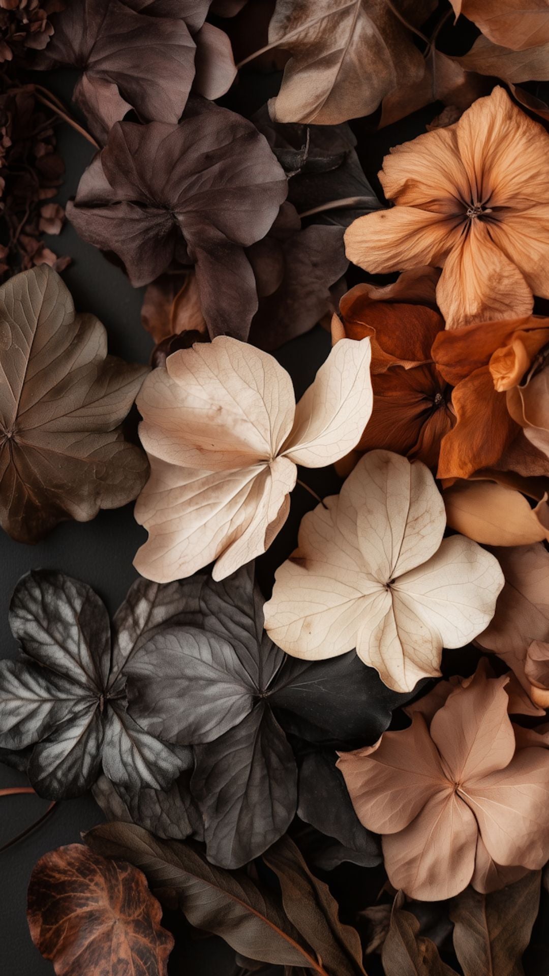 Assorted dried botanicals symbolizing natural ingredients in BATHEIA skincare – blending nature with dermatologist-backed science.