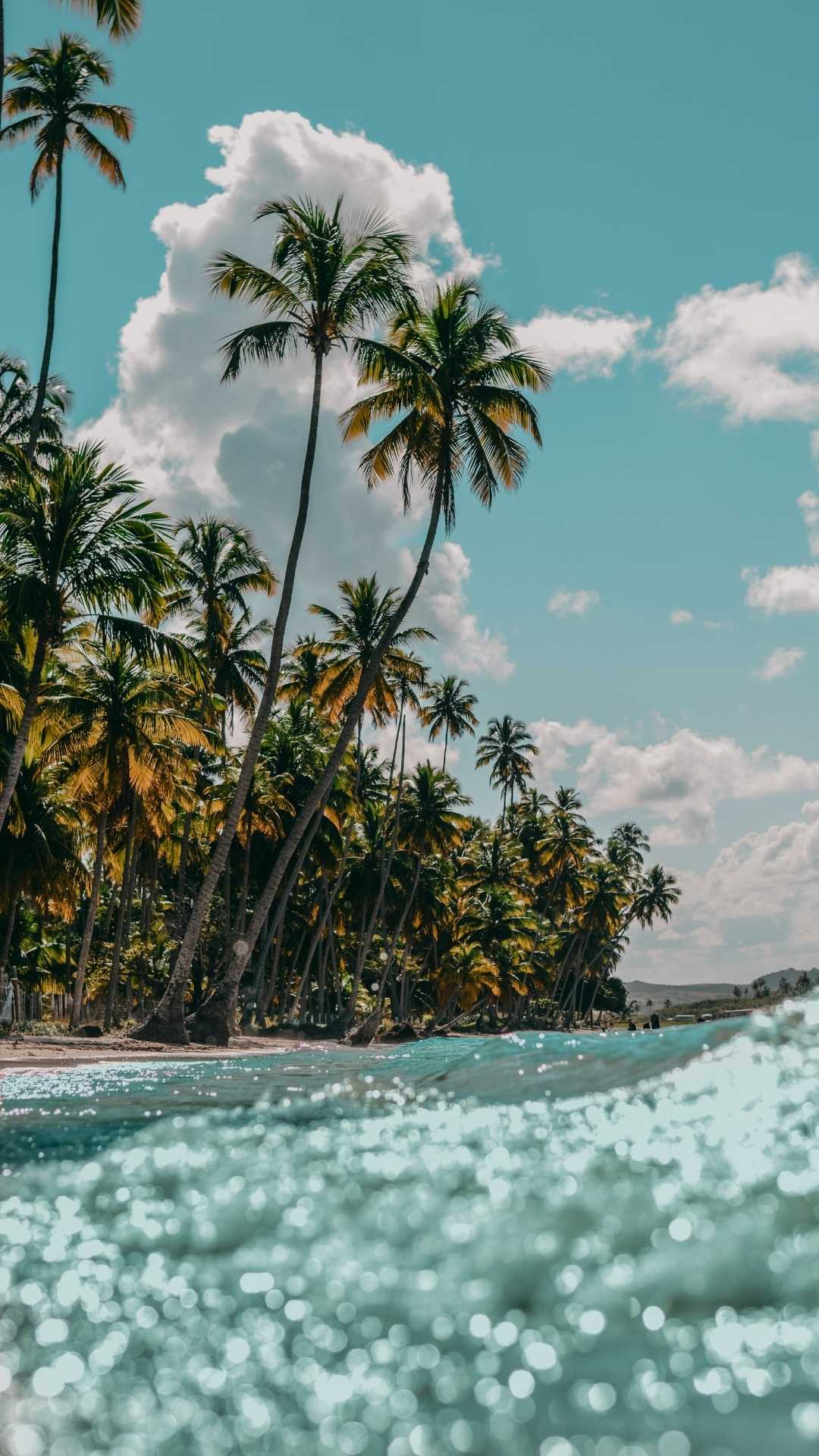 Palm trees and turquoise sea – BATHEIA skincare draws inspiration from tropical calm and natural beauty.