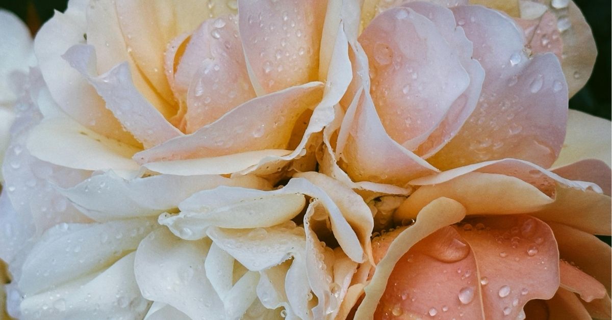BATHEIA skincare shop – luxury bath salts, exfoliating body wash, and spa-inspired treatments with dermatologist-tested actives.